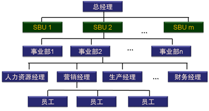 2015年注会《公司战略》知识点:战略业务单位组织结构